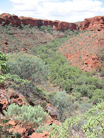 Foto Kings Canyon - 