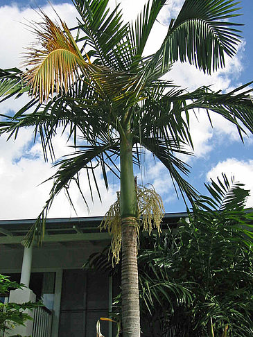 Hotel in Early Beach Foto 
