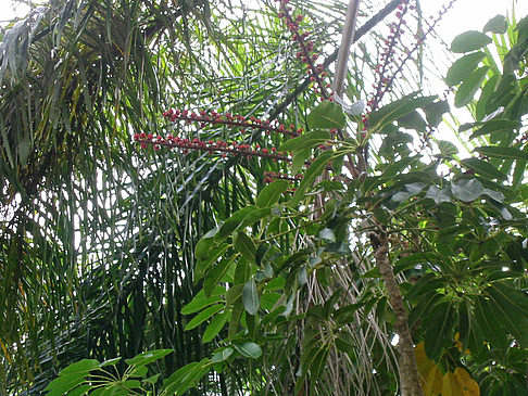 Billabong Wildlife Park Fotos