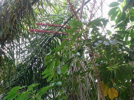 Foto Billabong Wildlife Park - 