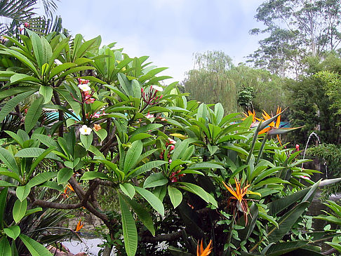 Fotos Billabong Wildlife Park | 