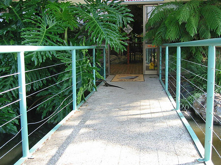 Foto Billabong Wildlife Park