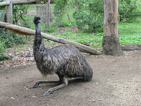 Billabong Wildlife Park