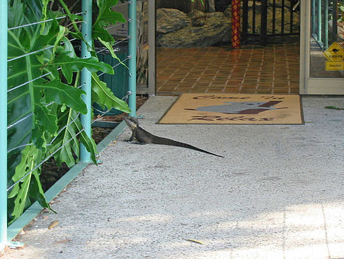 Fotos Billabong Wildlife Park