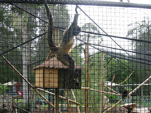 Fotos Billabong Wildlife Park | 