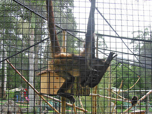 Fotos Billabong Wildlife Park | 