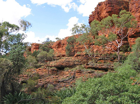 Kings Canyon