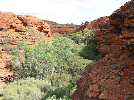 Foto Kings Canyon