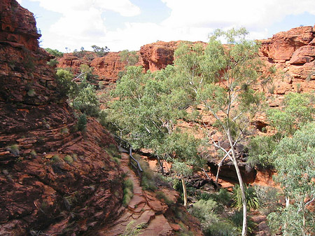 Fotos Kings Canyon | 