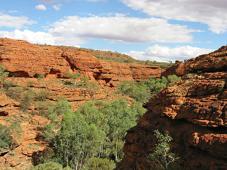 Foto Kings Canyon - 