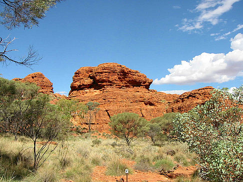 Fotos Kings Canyon