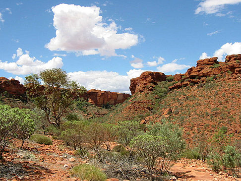 Fotos Kings Canyon