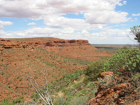 Kings Canyon Foto 