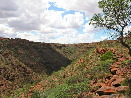 Kings Canyon Foto 