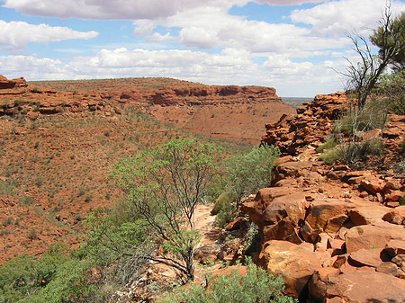 Fotos Kings Canyon