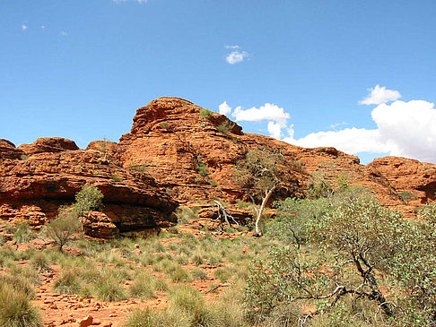 Kings Canyon