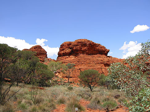 Fotos Kings Canyon | 