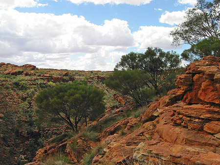 Kings Canyon Fotos