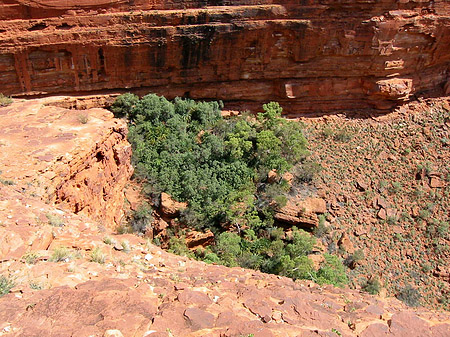 Fotos Kings Canyon | 