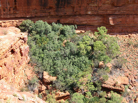 Fotos Kings Canyon