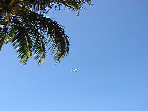 Foto Flugzeug