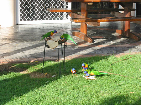 Fotos Hotel Ambassador | 