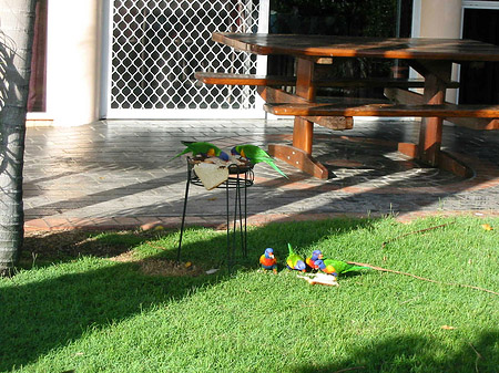 Fotos Hotel Ambassador
