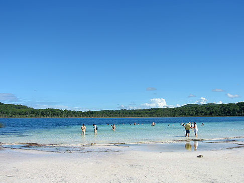 Foto Lake Birrabeen - 