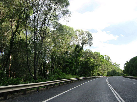 Fahrt nach Port Macquarie Foto 
