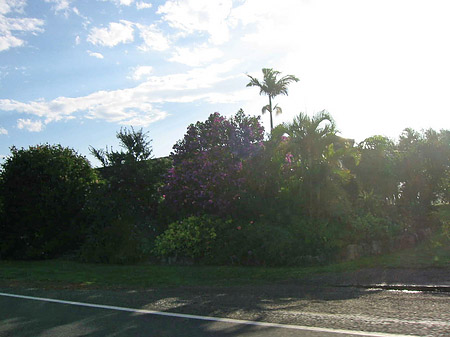Foto Fahrt nach Port Macquarie - 