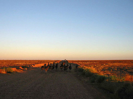Fotos Straße im Outback
