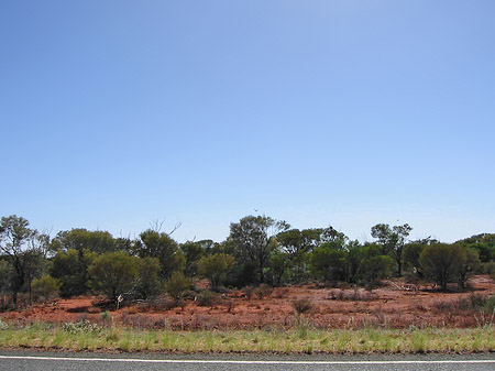 Landschaft